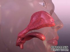 吴氏鼻咽静脉丛是指在鼻中段后方扩散