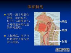 冷空气在喉咙中停滞并损害食道。