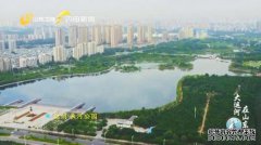 如果我不付款，我可以支付罚款吗？非