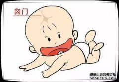 婴儿的头有多大？