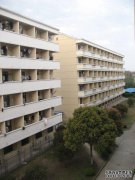 上海市教育评论研究所