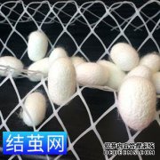 丝sc有什么问题？