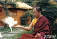 [预订]Sodjimbu法的保护女神非常重要（转