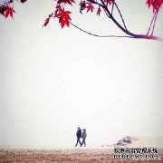 夏斯系列免费在线浏览（8）