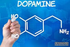 内啡肽和多巴胺有什么区别？