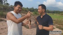 叔叔和蝎子有什么关系？叔叔和蝎子有