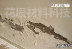 如何制作1号生物碱以及如何使墙壁表面